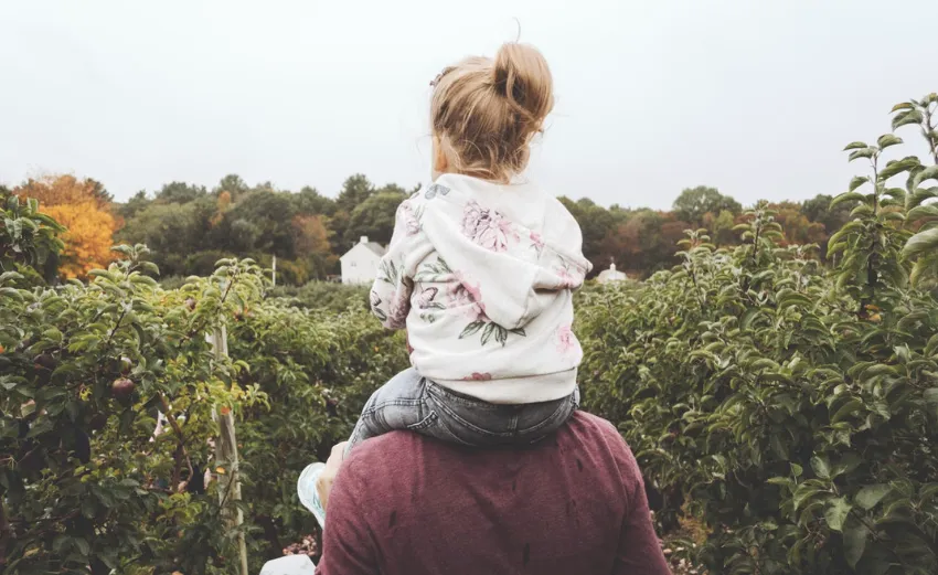









¿Le dedicas poco tiempo a tus hijos y cuando estás con ellos los consientes mucho?